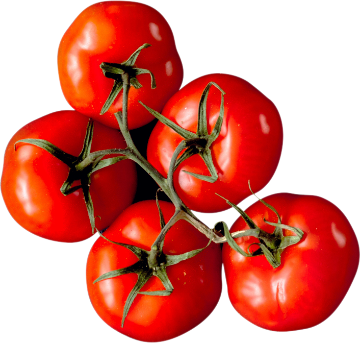 tomatoes